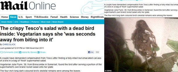 Casal encontra pássaro morto em salada